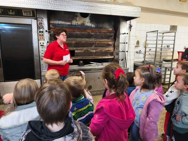 Leptirići i Bumblebees u posjetu pekari - slika broj: 8